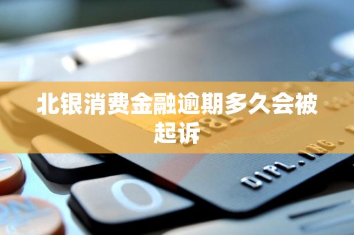 北银消费金融逾期多久会被起诉及金融机构委托情况分析